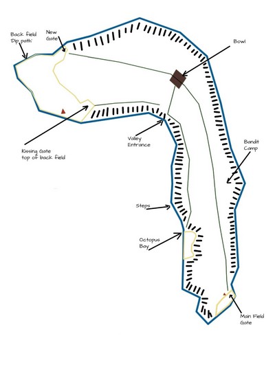 An OOC map of the IC area, covering roughly the main areas of the forest.